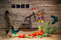 陌雨轩 [http://515191143.qzone.qq.com]