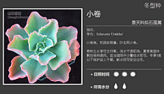 【一人一世界】采集到多肉植物标签