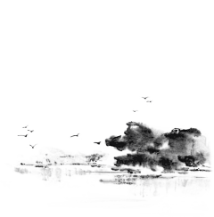 漏斗沙糖采集到禅调性