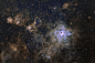 The Cosmic Web of the Tarantula Nebula Credit & Copyright:...