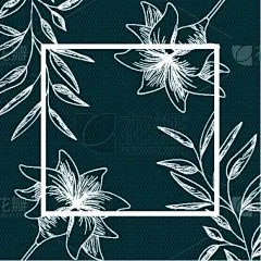 植物群,分离着色,草本,计算机图标,边框,华丽的,壁纸,洋葱花,绘制,剪影