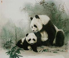 琴上抚弦筝采集到熊猫