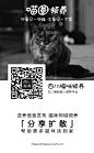 宠物猫领养平台“喵圈领养”meowmeow.com.cn 各城市小组2019.1.9上线海报 