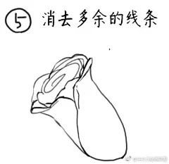 #绘画参考# 关于蔷薇花的简单画法，只要7步骤就能get，来给背景画些花卉吧~ ​​​​ 