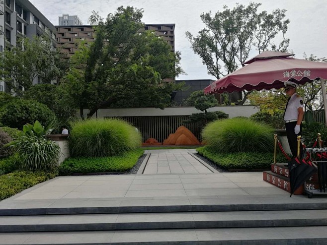 细叶芒 对植 春夏