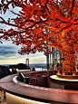 Sushi Samba - London