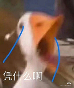無奈悳采集到表情包和搞笑