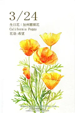 豆芽君的haru酱的微博_微博