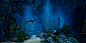 Ocean-cap3000-03