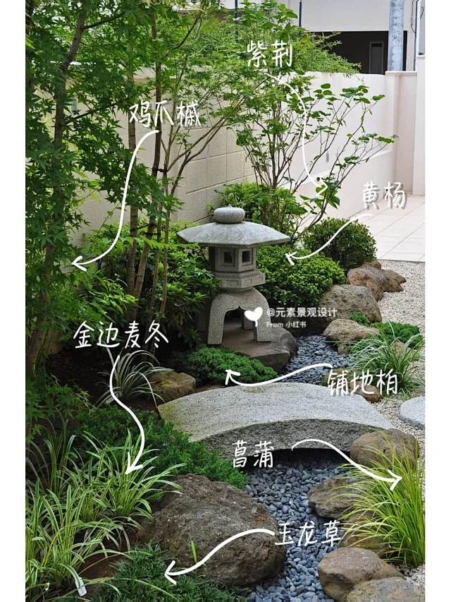 【花境搭配】日式景观植物分享