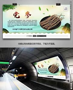 药材党参海报灯箱展板展架挂画