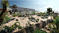 沙漠花园植物3D模型 Bundle 11 Desert Garden