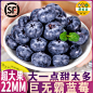 O1CN01mNmvDC1vG0Gez1krO_!!0-item_pic.jpg (800×800)