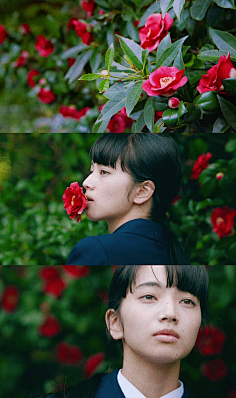 小松菜奈-花瓣网|陪你做生活的设计师 | 小菜松奈
