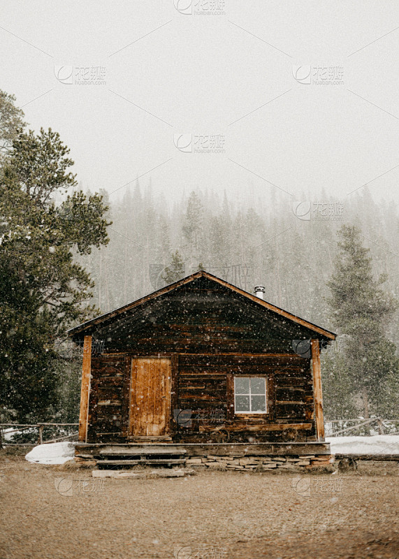 小木屋,雪花,前面,垂直画幅,天空,雪,...