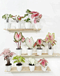 彩叶芋
https://mp.weixin.qq.com/s/cVrLHnEt2OPyJtVG1XjBbw