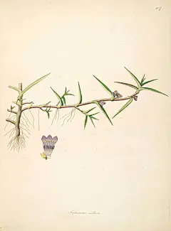 【淘宝：甜茶的日记】4 (109)