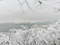 2018年1月—杭州雪景