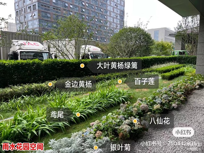 架空层 多品种条带种植