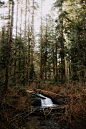 Photo by Blake Carpenter on Unsplash : Spring approaches on a small waterfall in the middle of a pacific northwest forest. Download this photo by Blake Carpenter on Unsplash