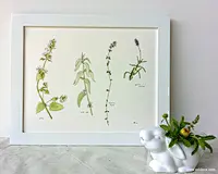 水彩 插画 - 堆糖专辑