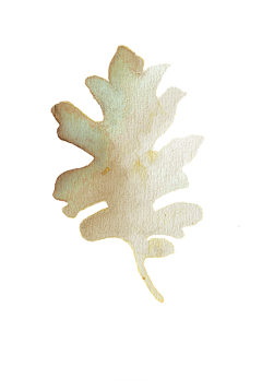 是喃不是男采集到植物