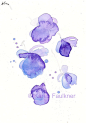 Art, Print, Giclee Print of Watercolor  Painting: Petals lavender flowers