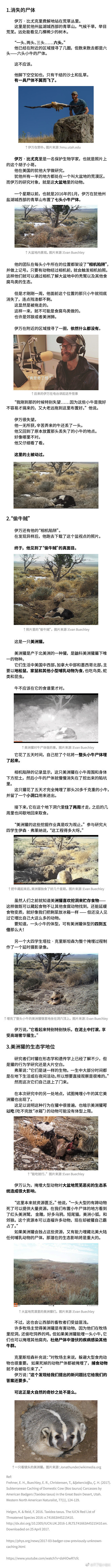 无聊图 - 蛋友贴图专版