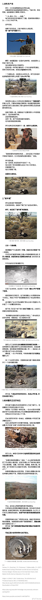 无聊图 - 蛋友贴图专版