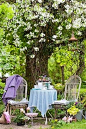 come sit in the garden...what a cute little mad hatter tea party set up in my enchanted garden:): 