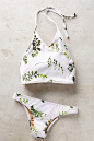 Maidenhair swimsuit!