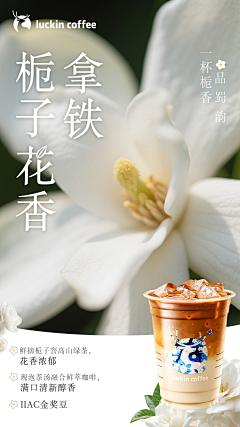 庄小七采集到食品海报Banner