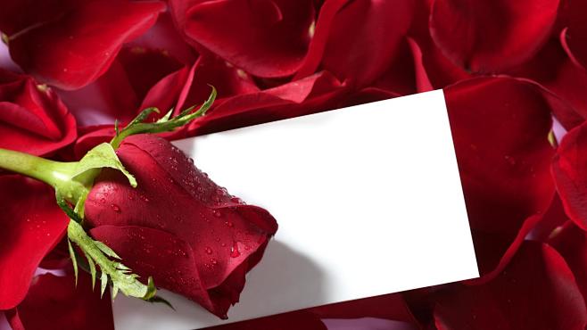 1920x1080_rose_and_p...