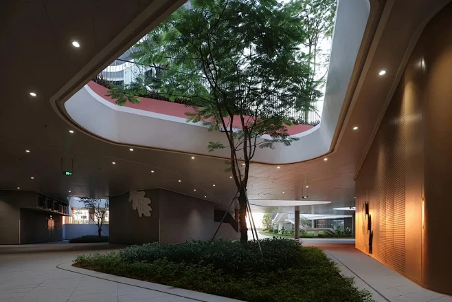 广州南沙民心港人子弟学校  景观设计  ...