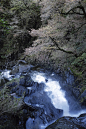 matthewandhiscamera:

November tourist: Pontarfynach falls walk 2
© Matthew Bell
