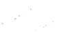 section8_leaf_8775862.png (1200×1080)