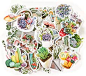 Navy Peony Terrarium Bundle Decal Pack | Waterproof Stickers for Water Bottles, Laptops and Phone Cases | Cute Stickers for Your Notebooks, Planners and Bullet Journals (40 Pieces)