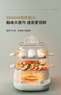 小熊电蒸锅多功能家用定时不锈钢小型蒸汽速蒸锅双层大容量早餐机-tmall.com天猫