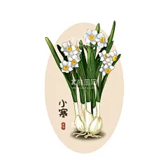 24节气水仙花  - 源文件下载【酷图网】立春,雨水,惊蛰,春分,清明,谷雨,24节气挂画,24节气文化,校园文化,农历24节气,二十四节气,24节气全套,二十四节气歌,24节气整套,中国风节气,节气含义,节气文化,24节气素材,24节气模板,24节气图片,24节气广告,24节气背景,节气海报,卡通,幼儿园,水仙花