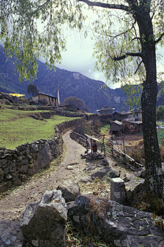 丫汀采集到古村