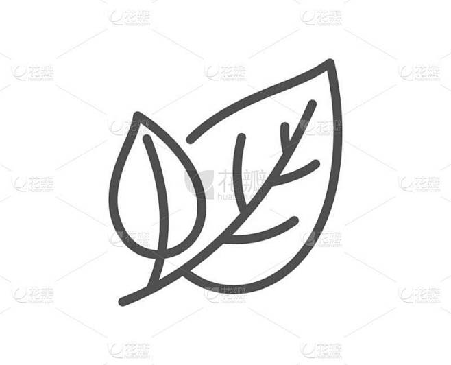 叶线图标。自然植物叶标志。环保标志。质量设计平面应用元素。