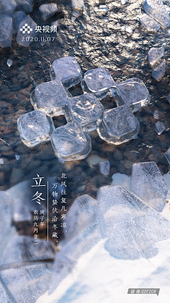 菊子清采集到平面海报排版
