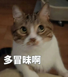 橘叁采集到表情