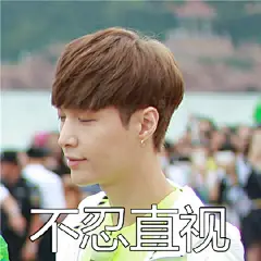 EXO张艺兴 极限挑战 表情包