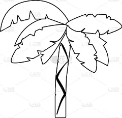 棕榈树,动画片,黑白图片,植物群,自然美,植物,夏天,户外,分离着色,剪影