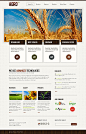 Website Template #39866