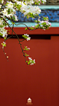 故宫博物院的微博_微博_素材——中式元素 _T2018922 #率叶插件，让花瓣网更好用#