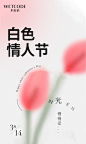 水密码白色情人节