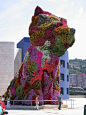 #JeffKoons 35 Foot Puppy at Guggenheim Museum Bilboa  | Follow #JeffKoons Art on #Pinterest, curated by #JKLFA | http://pinterest.com/jklfa/jeff-koons-art/: 