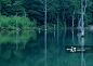 大正池,河岸,风景,静水,怪异正版图片素材